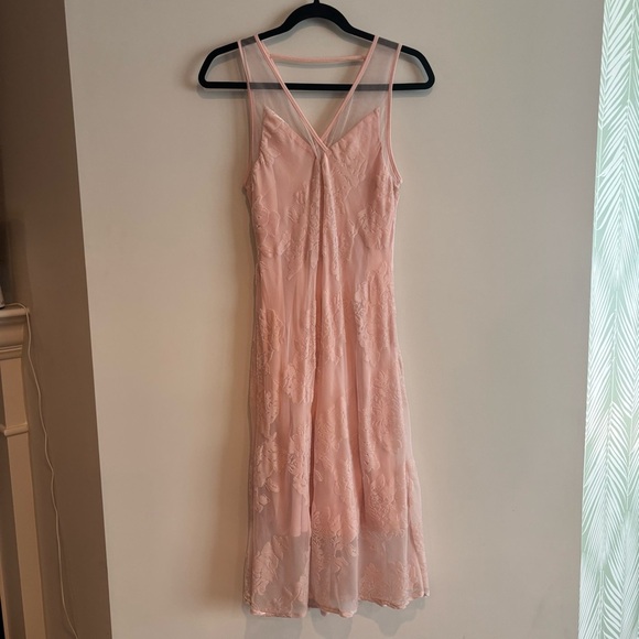Spirit of Grace Pink Velvet Burnout Dress XS Balletcore Sheer Fairycore Mesh - Picture 8 of 12